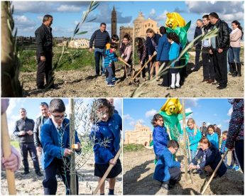 Afforestation project with native trees launched on Ghammar Hill