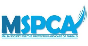 MSPCA survey reveals a decline in both cat and dog ownership