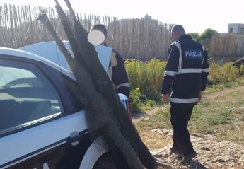 Repeat offender gets away with “reduced” fine, says CABS Repeat offender gets away with “reduced” fine, says CABS