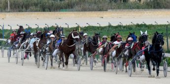 Gozo Horse Racing Association meeting in aid of Arka Foundation