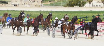 Arka Foundation to benefit from Sunday’s GHRA race meeting