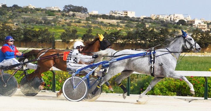Arka Foundation to benefit from Sunday's GHRA race meeting