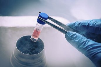 Bishops voice concerns on Bill to amend Embryo Protection Act