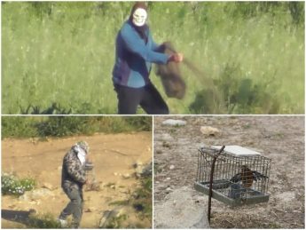 CABS: Six bird poachers convicted in one stroke, fined and lose licences
