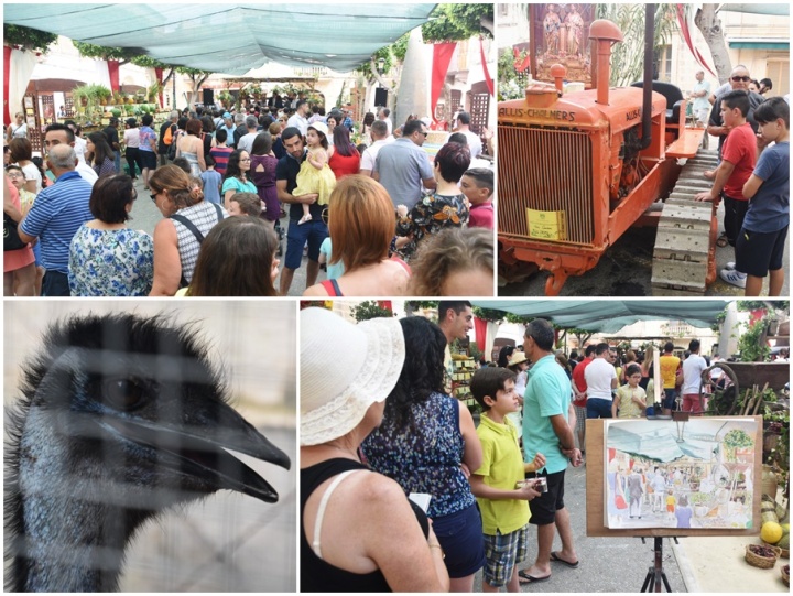 Traditional Gozitan agricultural fair attracts large crowds in Nadur