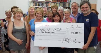 €10,000 donation by PAWS Malta helps Gozo SPCA neutering programme