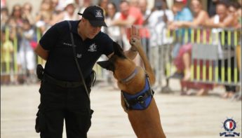 Police Day commemorative event taking place in Marsalforn