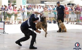 Police Day commemoration on Monday in Marsalforn