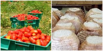 Bread and Tomato Festival with traditional local recipes and more