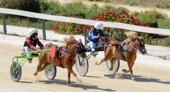 New horse racing season gets underway in Gozo this Saturday
