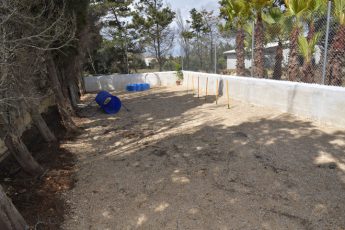 New outside area and facilities opened at Animal Welfare Gozo