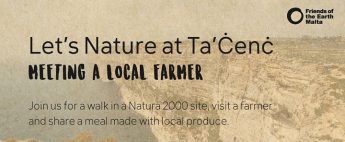 Let’s Nature at Ta’ Cenc with Friends of the Earth Malta next Sunday