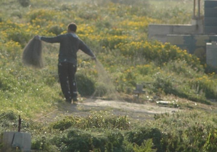 45 finches seized from 3 Gozo trapping sites in 1 day - BirdLife