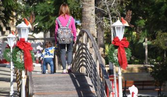 Dry and windy weather expected for the Christmas holidays Dry and windy weather expected for the Christmas holidays