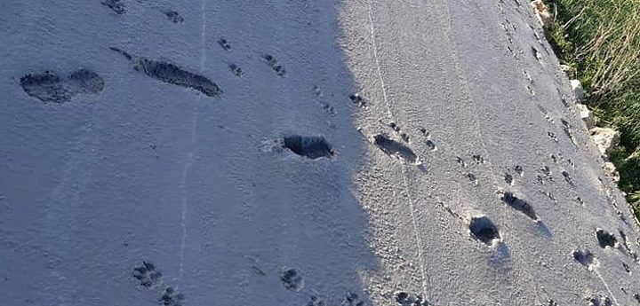 Fresh concrete ruined by footprints, Ghajnsielem Council condemns act