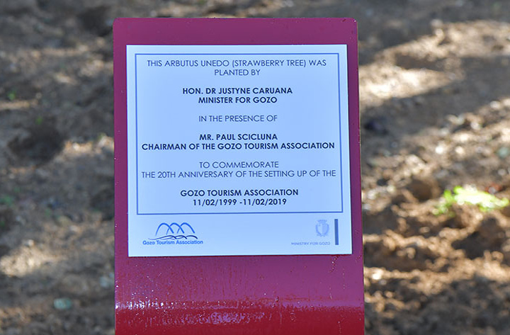 20 years of Gozo Tourism Association marked by tree planting ceremony