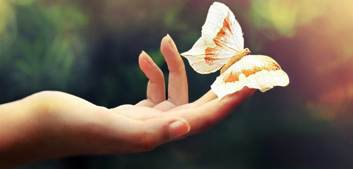 Gozo public lecture on the rights and responsibilities towards the environment