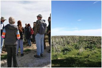 Gozo Wild Orchid Project 2019 orchid citizen scientist team Gozo Wild Orchid Project 2019 orchid citizen scientist team