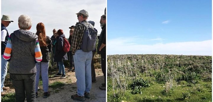 Gozo Wild Orchid Project 2019 orchid citizen scientist team