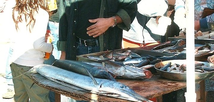 Restrictive measures adopted by MEPs to protect swordfish