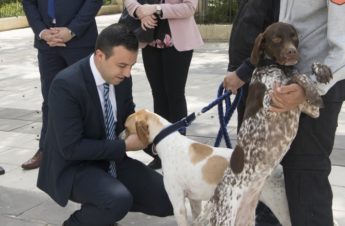 €120,000 fund set up for “proper protection” of animals in local communities