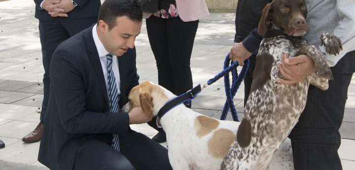 €120,000 fund set up for “proper protection” of animals in local communities