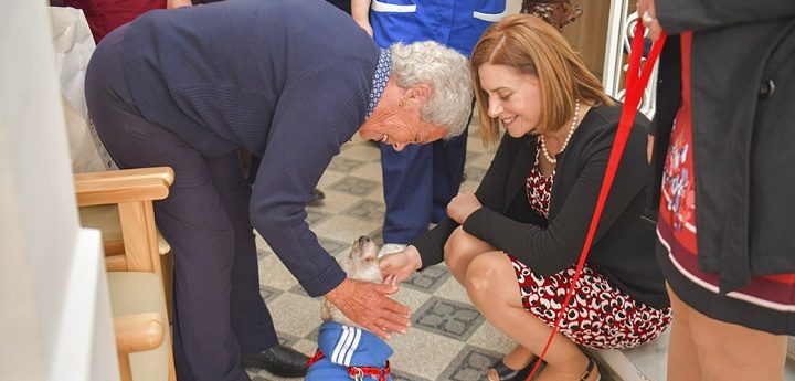 More beds for the elderly and pet therapy now available in Gozo