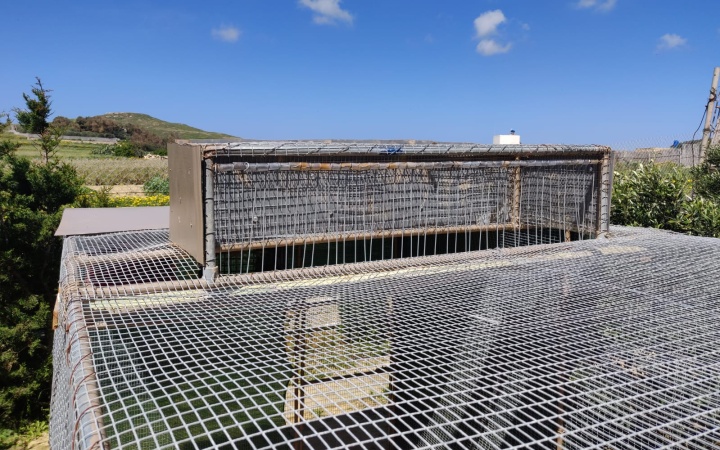 CABS-Police joint operation against illegal bird trapping on Gozo