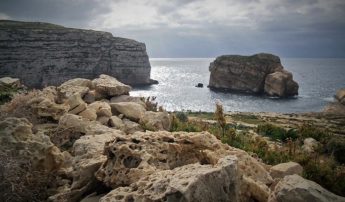A Night with the Scopoli’s in Gozo with BirdLife Malta at Dwejra