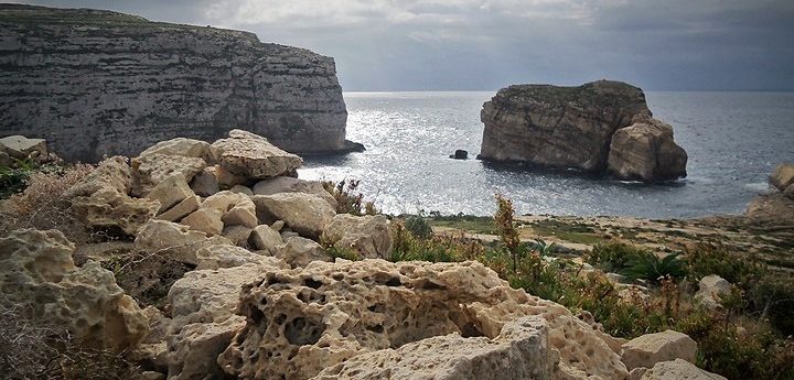 A Night with the Scopoli’s in Gozo with BirdLife Malta at Dwejra