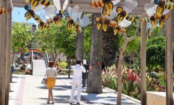 Special festival dedicated to Gozitan beekeepers and their craft Special festival dedicated to Gozitan beekeepers and their craft