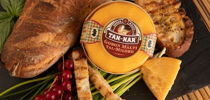 New artisan cheese launched in Gozo – Gobon Malti tal-Milord