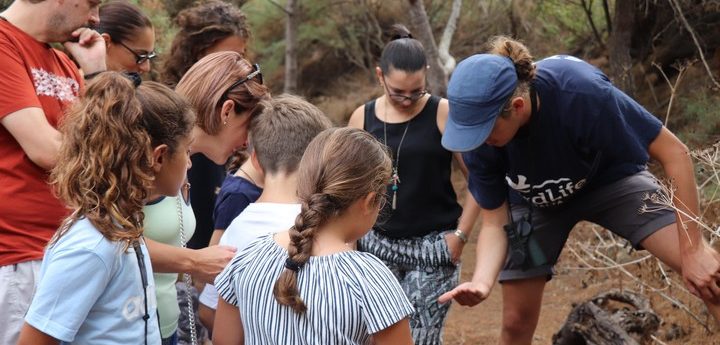 BirdLife’s Klabb Huttaf wildlife club special event for young naturalists