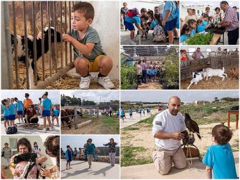 Intergenerational activities in Gozo bring joy and laughter to all