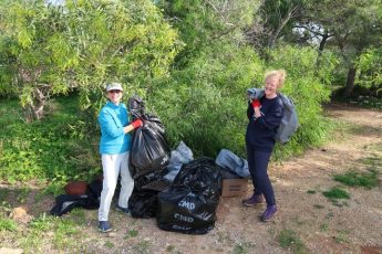 Action for bird protection: Clean-up event to help Yelkouan Shearwaters