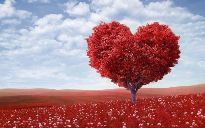 Please give some of your time and blood by donating in Gozo on Tuesday