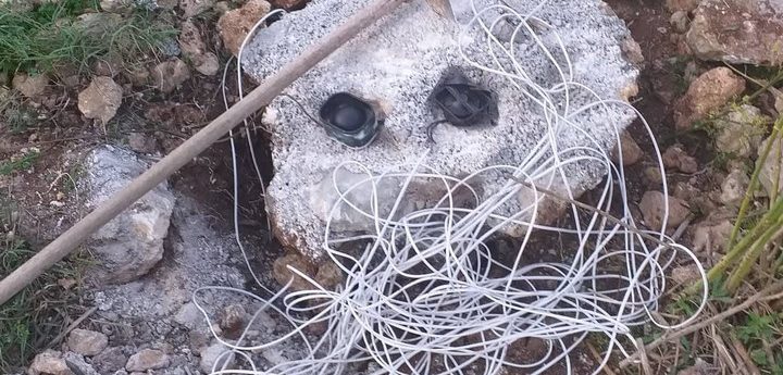 #NoMoreCallers campaign launched against illegal electronic bird callers