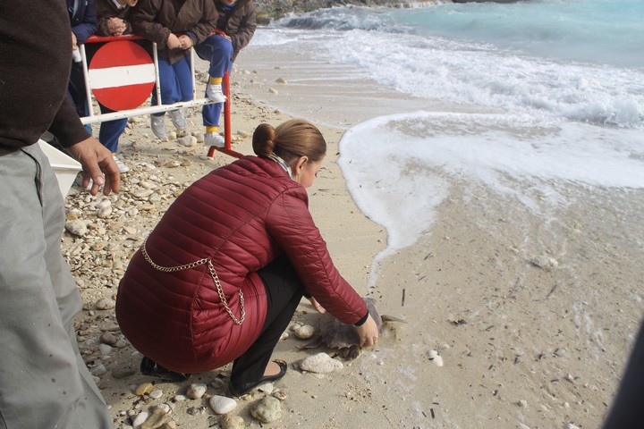Alison and Menqa ride the waves on their release at Hondoq Bay