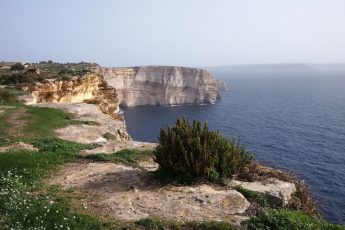 Gozo Nature Walk with BirdLife Malta from Sannat to Xlendi
