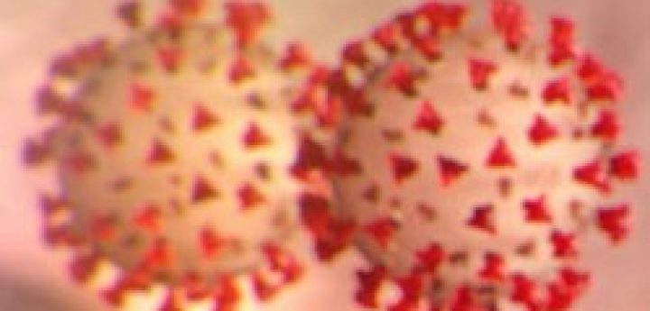 Coronavirus: there are “no cases in Malta at this point” – Health Ministry