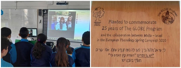 International collaboration betweens schools in Gozo and Israel
