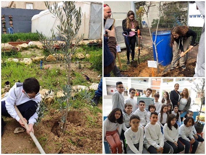 International collaboration betweens schools in Gozo and Israel