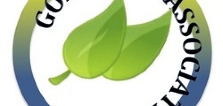 Gozo’s voluntary NGO sector urgently needs support – Gozo NGOs Assoc.