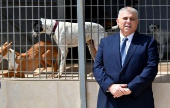 Animal sanctuaries and NGOs benefit from Government funds