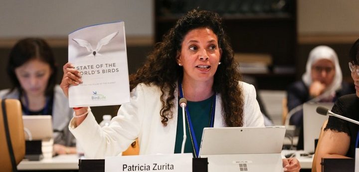 BirdLife International urges PM not to open spring hunting season