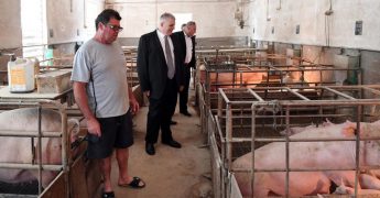 AgriConnect – free of charge service available to local farmers