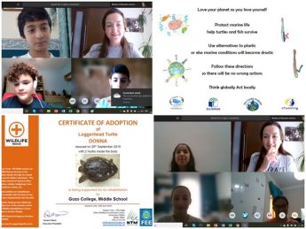 GC Middle School Eco-Code – Caring for the planet and protecting sealife