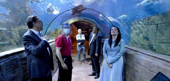 New exhibits and initiatives ready to open at Malta National Aquarium