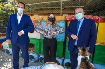 Almost €77,000 shared between ten voluntary organisations working with animals