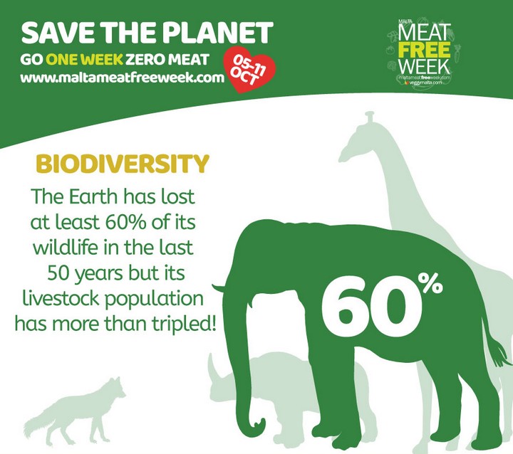 Malta meat free week challenge - Be part of the solution to Save the Planet